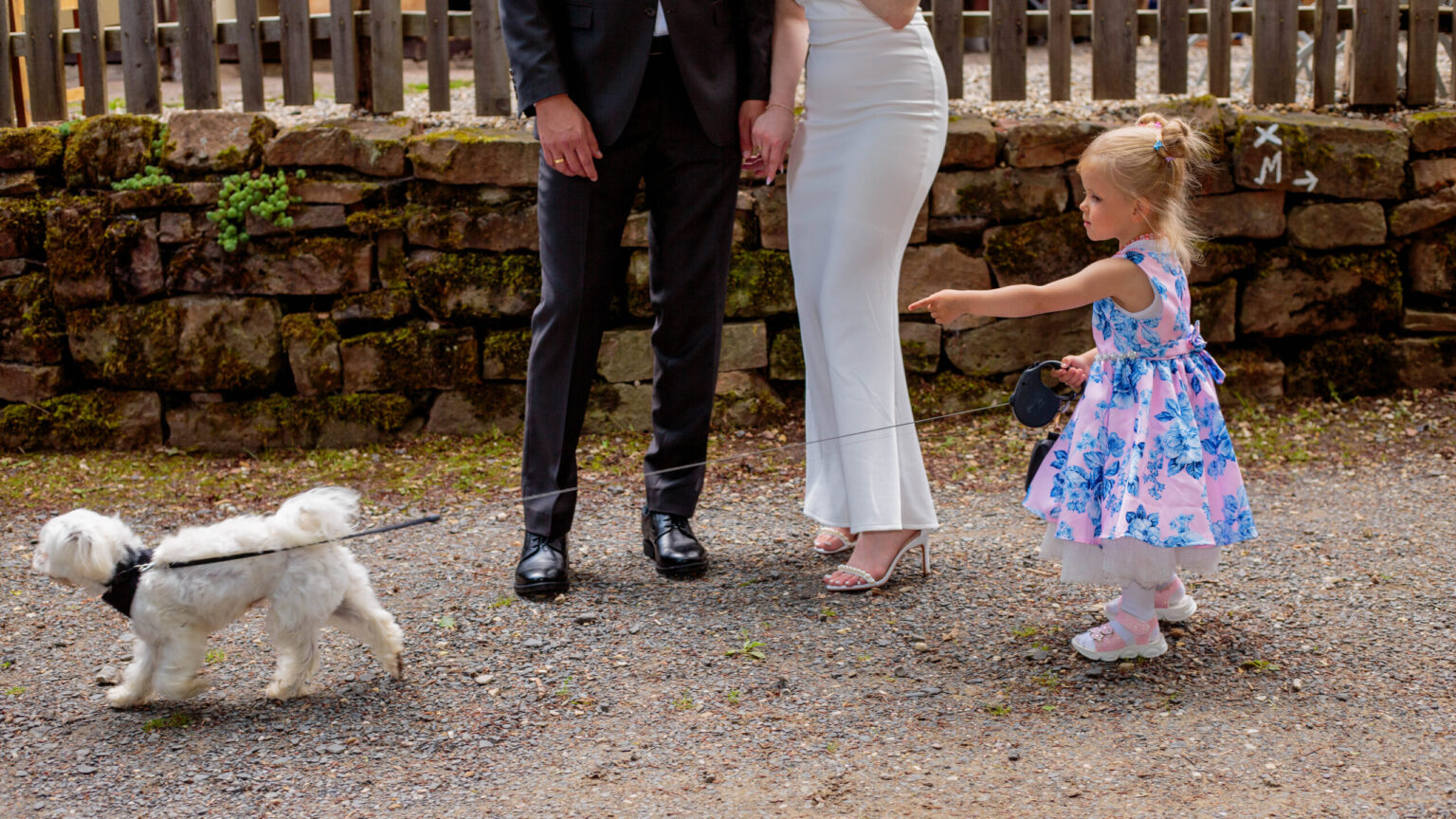 Familienfeier Hochzeitsfotografie