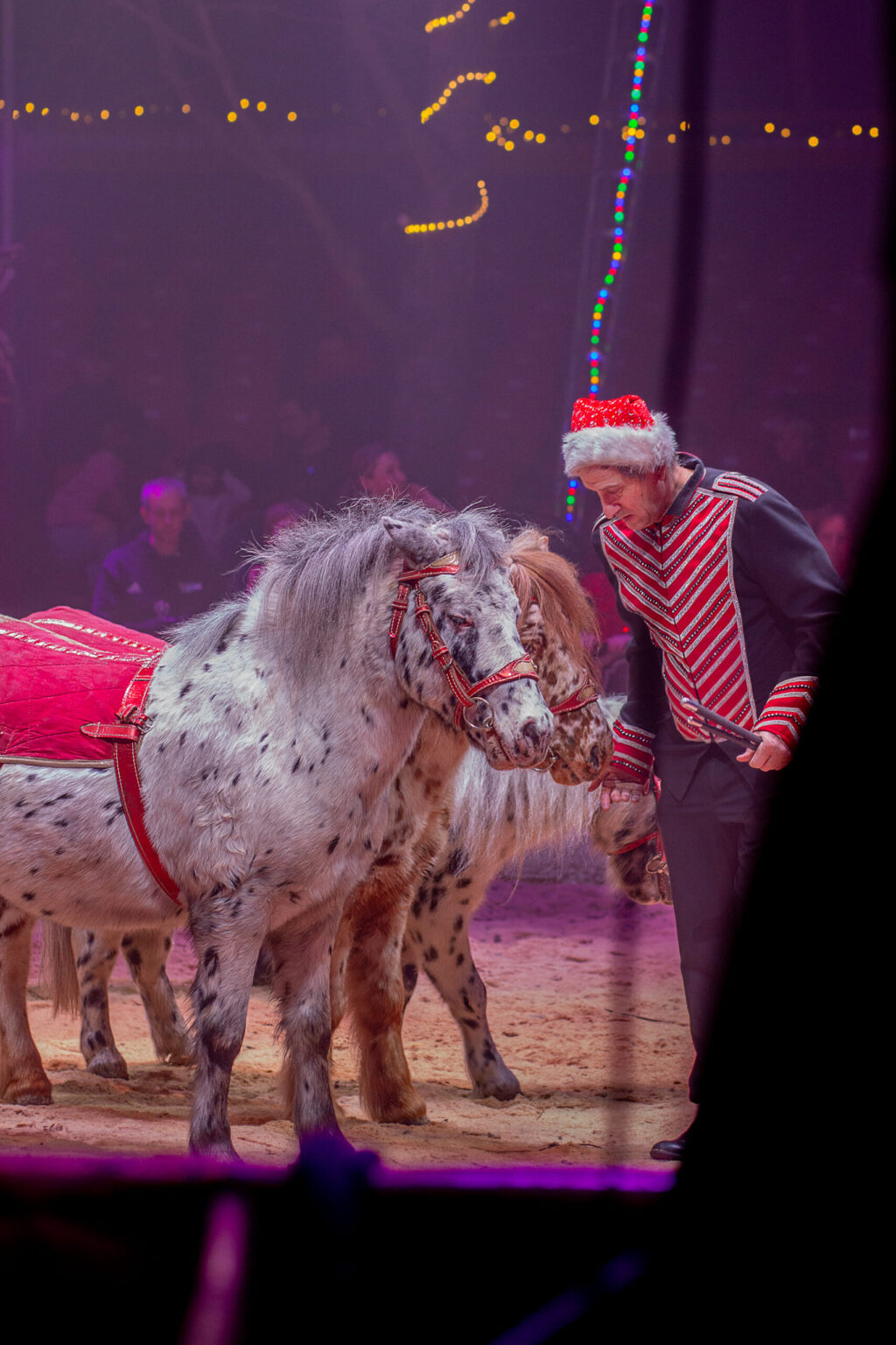 Eventfotografie Show Zirkus